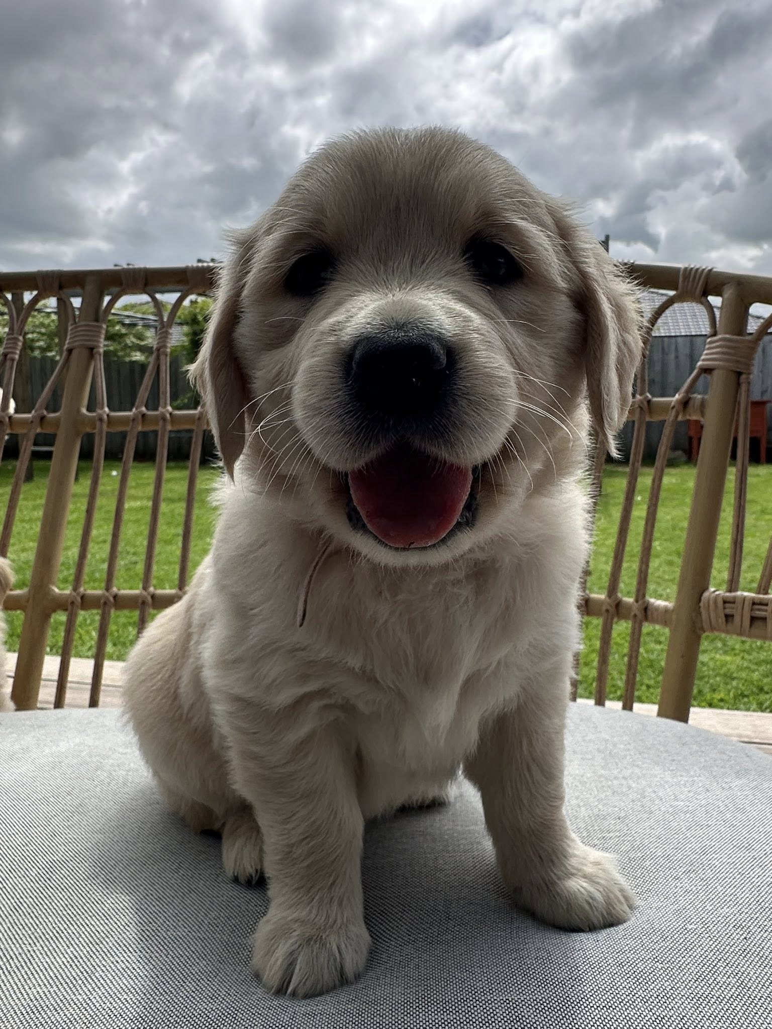 571136573 10163241735569550 7571671715685835154 n