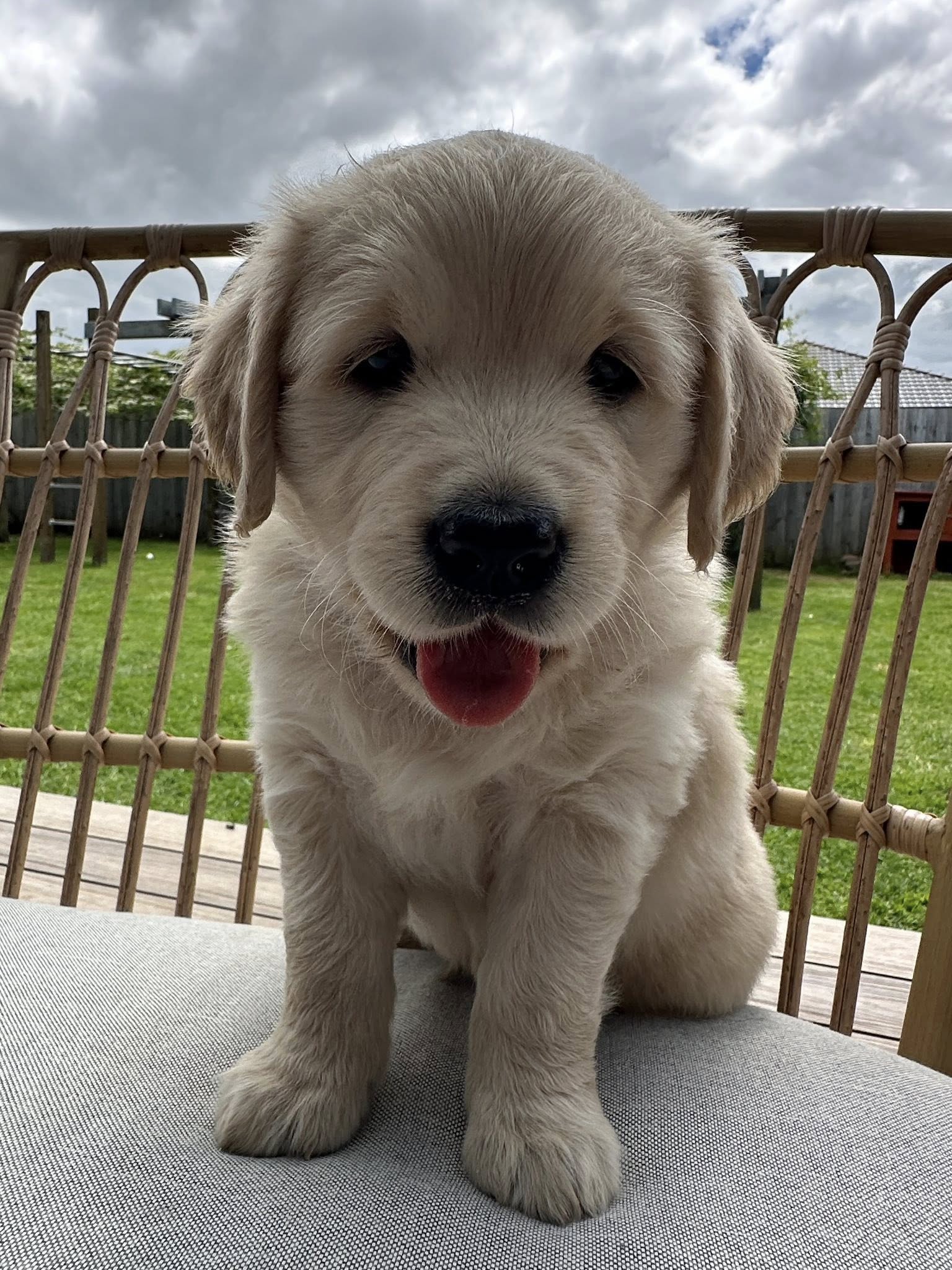 571244974 10163241735199550 4852663502307974484 n