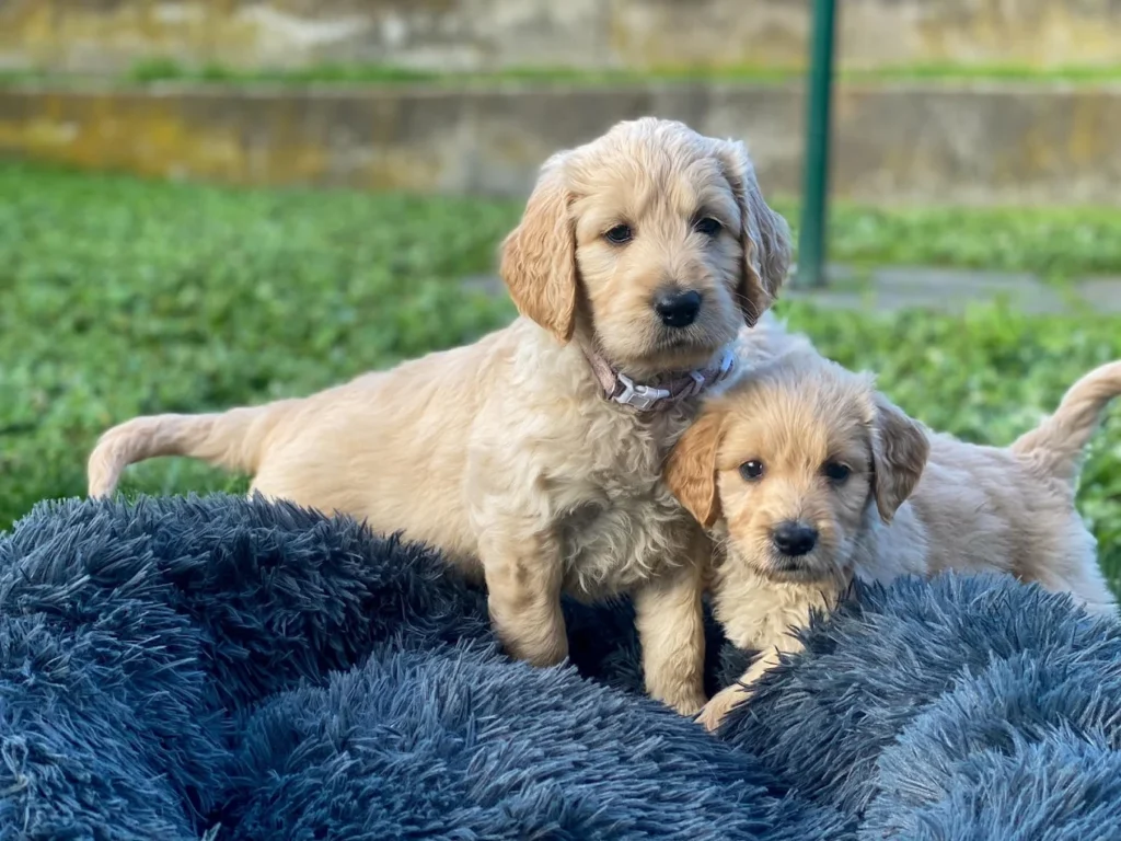 facebook cover photo