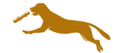 cropped gold logo.png